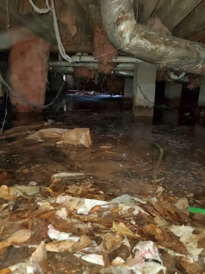 Crawl space flood assessment for Commercial Water Damage Restoration in La CaÃ±ada Flintridge