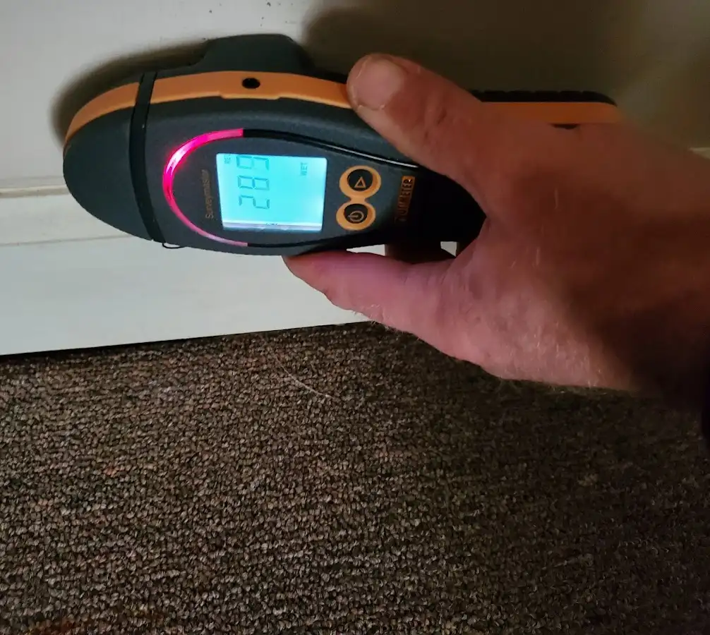 Moisture detection at baseboard during Sewage Cleanup & Sanitation in La CaÃ±ada Flintridge